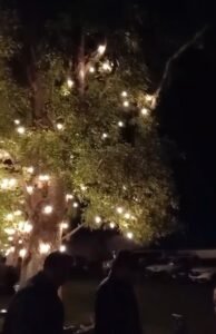 Screenshot_20260619_124238